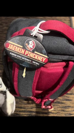 Florida State University Graduation Celebration 🎓