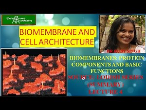 Membrane Fluidity #Biomembrane_and_Cell_Architecture #Lodish_Summary_Series #Lecture_4