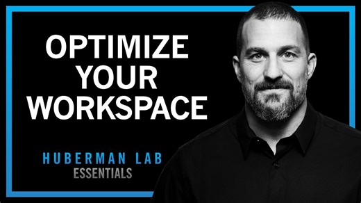 Essentials: Optimizing workspace for productivity, focus and creativity | Dr. Andrew Huberman