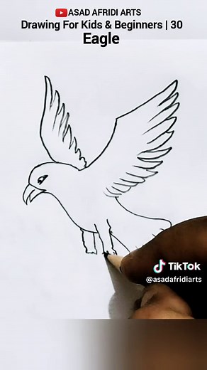 Eagle Drawing For Kids & Beginners Step by Step #eagle #drawing #birdsdrawing #asadafridiarts #draw