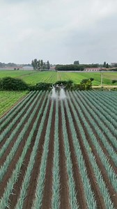 L’agriculture intelligente 🤖🎮🚜 | 𝐒𝐭𝐞́𝐩𝐡𝐚𝐧𝐞 𝐆𝐨𝐦𝐬𝐞𝐮 𝐎𝐟𝐟𝐢𝐜𝐢𝐞𝐥