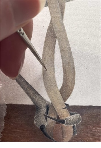 Exploring Watercolor Techniques in Bird Art