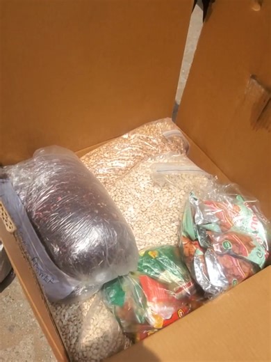 We offer dependable foodstuff exportation to every nation worldwide with a focus on quality, safety, and compliance with all aspects of the process. Our foodstuff exports consist of grains, spice products, dried food products, cereal products, nut products, processed food products and pre-packaged food products which have all been tastefully sourced and handled according to international standards. We take care of all export documentation, certifications and customs requirements to ensure your p