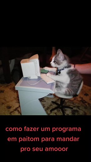 #programming #amor #namorados #phyton #fyp