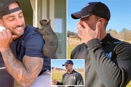 P’nut the Squirrel’s heartbroken owner breaks down over almond in his pocket: ‘Just a little reminder’