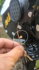 Tiny Mushroom 🍄 @highlight #akdiffuser #omsystem #macro #nature | Dix Balino