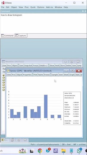 Histogram| Eviews| Timeseries| Graphical analysis