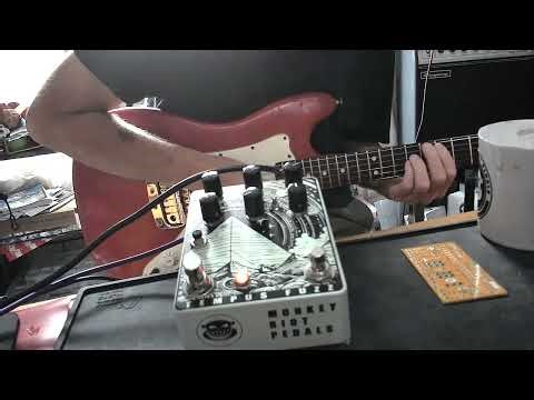 Tempus Fuzz - Short Delay, High Recycle = Mirror Room Effect