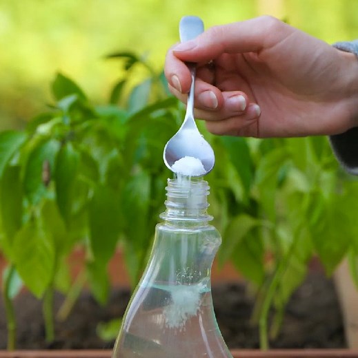 12K views · 26 reactions | Useful Salt Hacks! | 5-Minute Crafts Green | Facebook