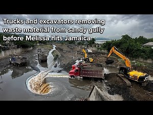 Trucks and excavators removing waste material from sandy gully before Melissa hits Jamaica 🇯🇲