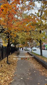 8.2K reactions · 1.2K shares | In only a few weeks…Fall in Toronto is so beautiful 朗 * * * * * #toronto #torontolife #torontophotographer #torontoblogger #tdot #the6ix #torontophoto #toronto_insta #igerstoronto #exploretoronto #ontario #ontariocanada #canada #epictoronto #tdot_shots #the6 #blogto #autumn #fall | Epic Toronto | Facebook