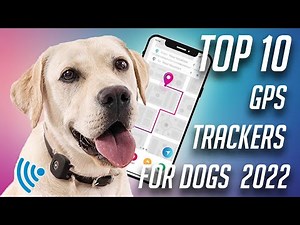 Top 10 Gps Trackers for Dogs 2022 | Best Gps Pet Tracker