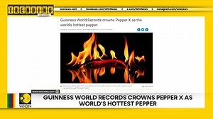 Guinness World Records crowns Pepper X as the world's hottest pepper Enormous volcanic comet races towards Earth with regrown 'horns' Bhairavi Singh brings you the stories that are #TrendingOnWION's web and social media platforms Watch more: http://wionews.com/videos | WION