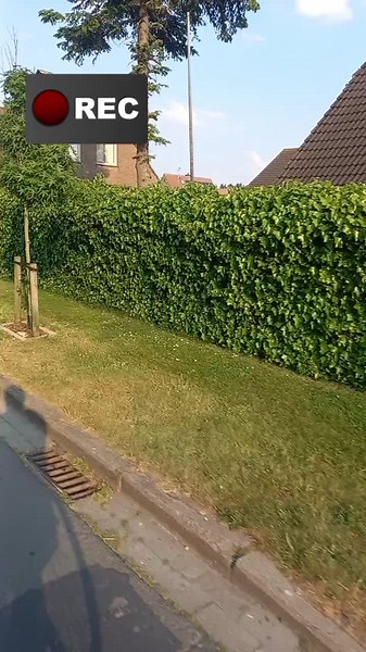 Mark Wagner sur TikTok