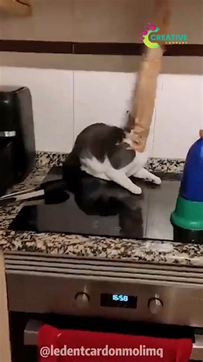 You work, I nap. That’s teamwork. | Creative Company