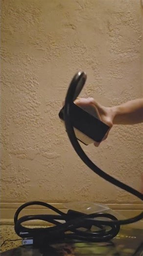 Great lighting for reptile enclosure ‪@DonnasProducts‬