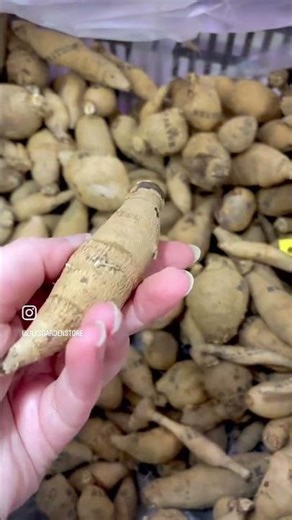 Dahlia tuber grading. And more grading.