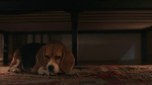 Serta TV Spot, 'Aquí para ti'