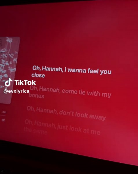 I Want to Be Your Girlfriend lyrics karaoke
