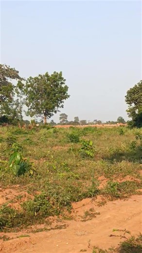 1.2K views · 14 reactions | INDENIE 2000 EN VENTE 2 LOTS DE 430 M2 AVEC ACD A 100 MÈTRES DU LYCÉE DES JEINES FILLES 4 MILLIONS 500 PAR LOT 0141888920 | Amadou Binaté | Facebook