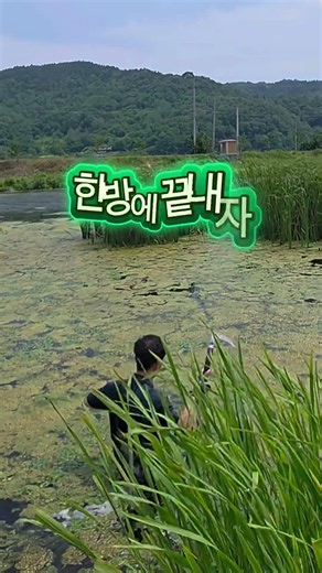The Fundamentals of Fishing #CrucianCarpFishing