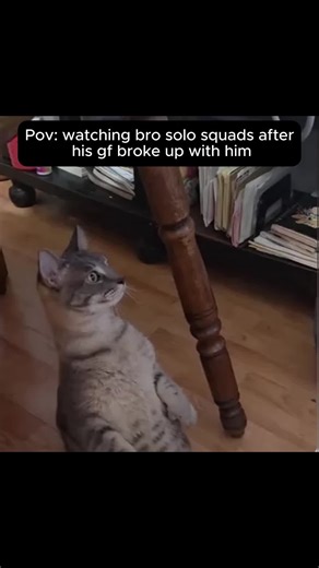 When Bro Is Angry: Relatable Free Fire Moments