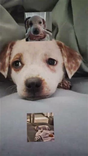 im starting a new series where I will make an edit with a character so comment below wich one.