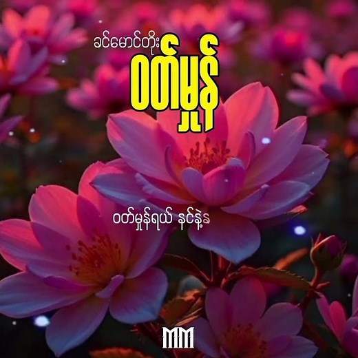 ဝတ်မှုန် ခင်မောင်တိုး