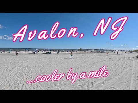 What Makes Avalon NJ So Special?