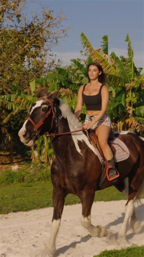 Amber Ajami on Instagram: "born to ride, forced to walk"