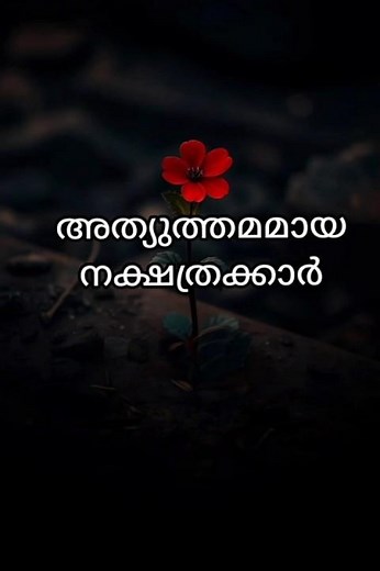 ഇവർ ആണ് അത്യുത്തമ നക്ഷത്രക്കാർ ❤️ #astrology #jyothisham #astrology #astrologer #jyothishachakra