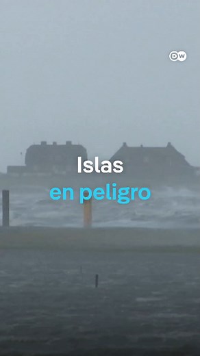 Paisajes llanos, vistas infinitas, aves marinas surcando el cielo azul. Las vacas pastan en las marismas y mar hasta donde alcanza la vista. Todo esto define la vida en Hallig Oland. Pero el cambio climático tampoco hace una excepción en este islote. #dwdocumental #calentamientoglobal #dwdocs #mar ـــــ | DW Documental