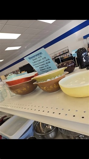 Thrifting Success: Pyrex and Corningware Finds in Ohio