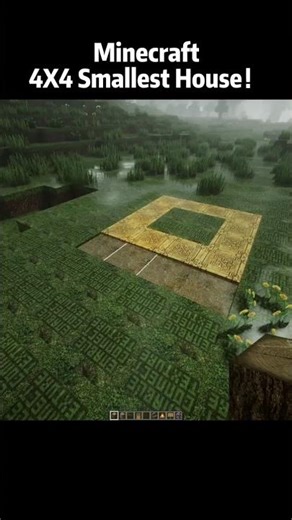 Minecraft: Smallest House 😲4x4 #shorts