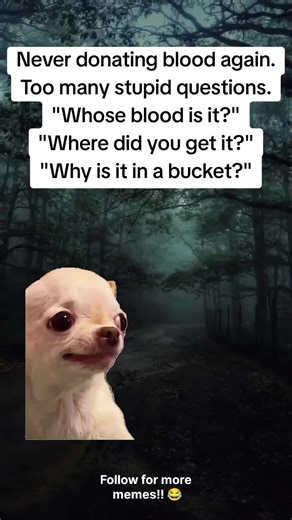 Follow for more memes 😂🫂 #meme #evildog #fyp #memes #viral | dog meme