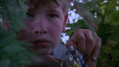 Hope and Glory (1987)