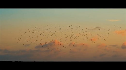 MASTER CLUB Nantong Project #Colorimagination #stagelight #stagelights #stagelighting #clublight #clublights #clublighting #barlight #barlights #barlighting #movinghead | Color Imagination | Facebook