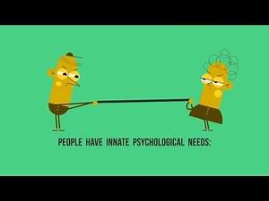 Self Determination Theory (SDT)