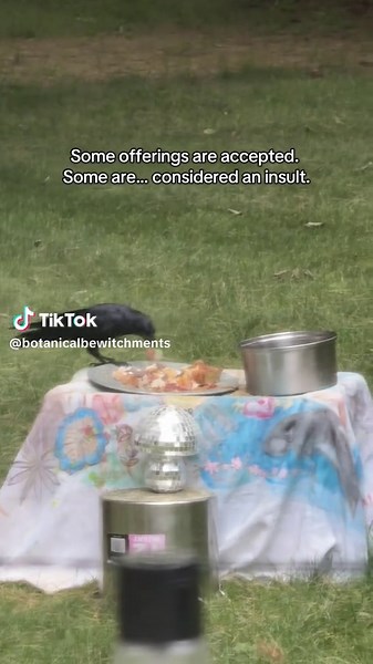 People love to tell me what I shouldn’t feed the crows, but trust me — they don’t even eat half the ‘good stuff.’ They pick through it, throw shade, and make sure I know exactly how they feel about breakfast. I’ve basically created a flock of tiny, opinionated food critics with wings. #crows #crowtok #creatorsearchinsights