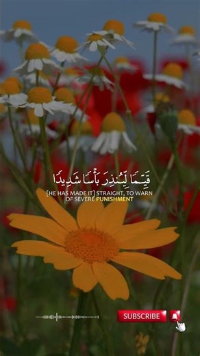 #islamicvideo #recitation #tilawati354 #quran #surahalmulktilawat #surah