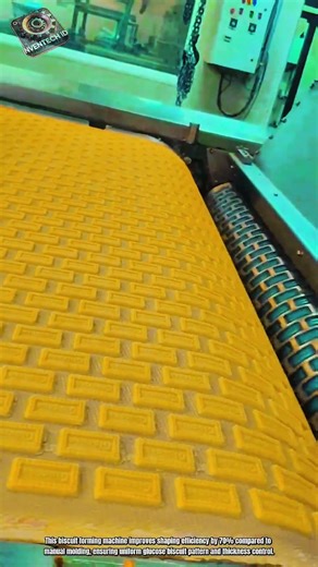 Best Innovation Biscuit Forming Machine: How to Shape Glucose Biscuit Precision Pattern