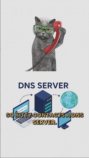 DNS server explained by cats #memes #explore #viral #cat #dns