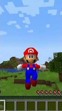 I transformed myself into Mario in Minecraft.