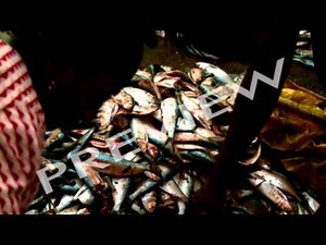 Impact Of Globalisation: Food