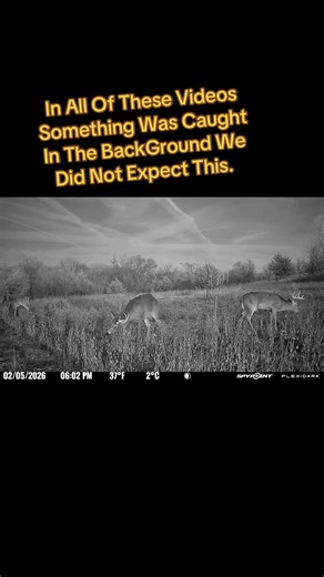 Unbelievable Background Discoveries in Videos