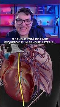 Como entender a anatomia do coração de uma vez por todas | Lucas Bacca