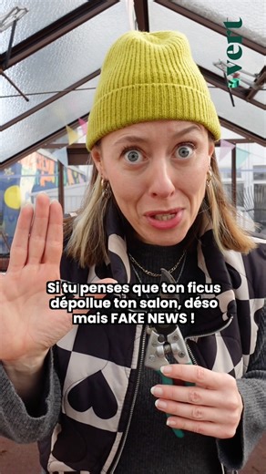 Vert | Média sur l'écologie 💚 on Instagram: "🪴 Si vous pensez installer une plante pour dépolluer l’air de votre salon… Spoiler : ça ne sert à rien ! @ophelietamerenature déconstruit le mythe des plantes dépolluantes de nos appartements dans sa dernière chronique pour @vert_le_media. ⏰ J-1 pour ne pas laisser les fakes news s’enraciner dans le débat public, optez pour un pesticide naturel : la saison 2 de Chaleurs Actuelles. Toutes les infos en bio de @vert_le_media"