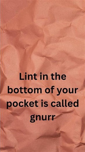 5 Useless Facts You May or May Not Know