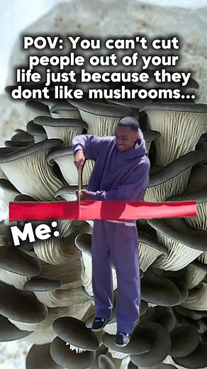 #sublimemushroomsllc #eatmoremushrooms #Mushrooms #blueoystermushrooms | Sublime Mushrooms LLC