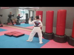 Brown belt form Hwa Rang